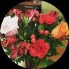 rockpark0196